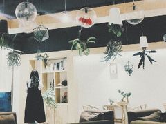 -柴务处·柴犬主题狗咖