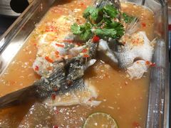 -佬肥猫(国华广场店)