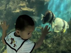 -苏州海洋馆