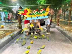 -酷嗒动物文化乐园(cutezoo西溪乐天城店)