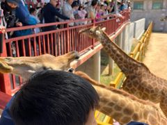 -西霞口神雕山野生动物世界