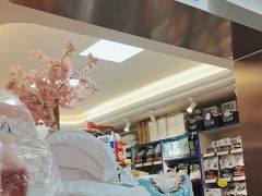 -北京观赏动物医院·24小时大型综合·猫专科·异宠专科