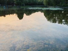 -望湖公园