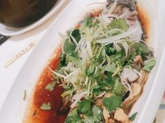 清蒸鱼-沙龙酒家