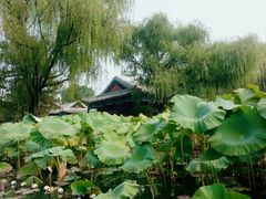 -承德避暑山庄景区