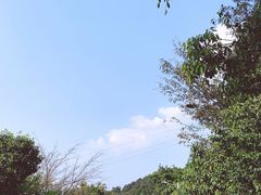 -铁山坪森林公园