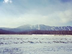 -亚布力新体委滑雪场