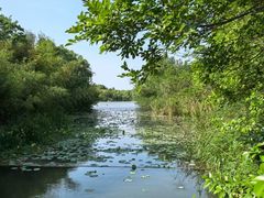 -昆山城市生态森林公园