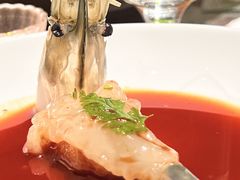 -觀芷隐轩