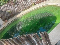 -大连金石滩绿发温泉假日酒店