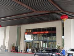 -河源万绿湖美思威尔顿酒店