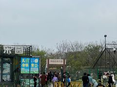 -天王浮山樱花园