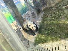 -青藏高原野生动物园