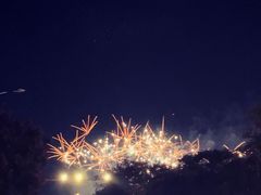 -大塘金香草谷
