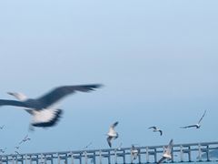 -星海广场