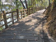 -广州市流溪河国家森林公园
