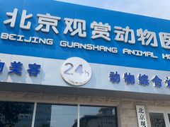 -北京观赏动物医院·24小时大型综合·猫专科·异宠专科
