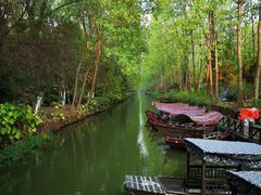 -合肥滨湖国家森林公园