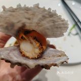 吃货日记：今天尝鲜生蚝