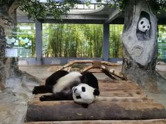 -海南热带野生动植物园