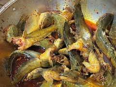 -金海椒罐罐鲢鱼(东方桂苑店)