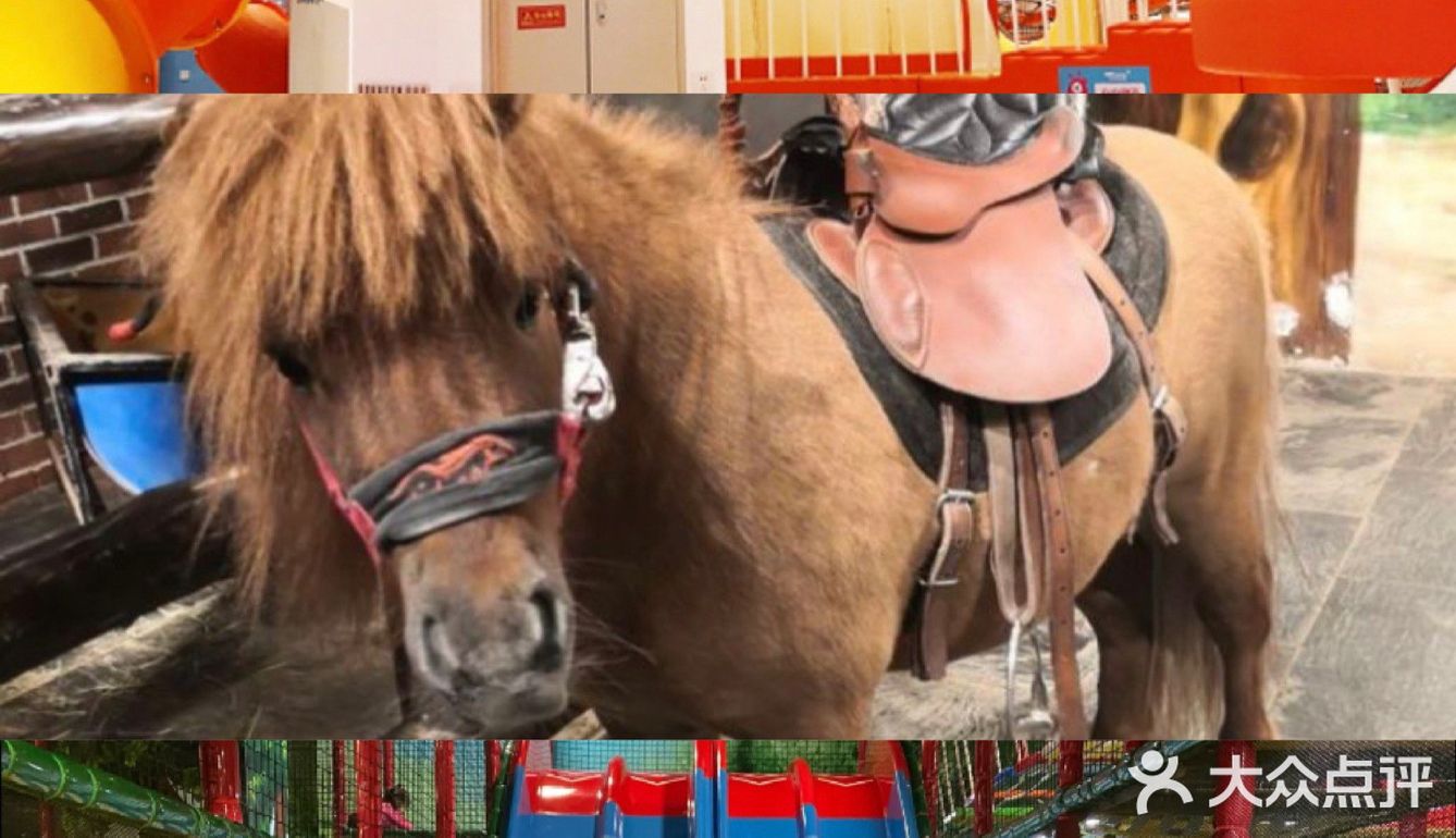 遛娃好去处，去了还想去🌵