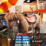 遛娃好去处，去了还想去🌵