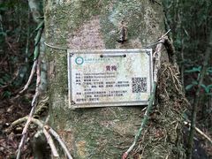 -海南热带雨林国家公园吊罗山景区