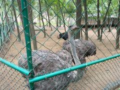 -大连铭湖国际观光牧场