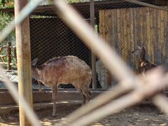 -佛冈森波拉度假区