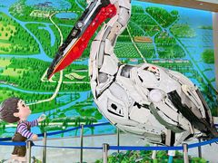 -同里国家湿地公园