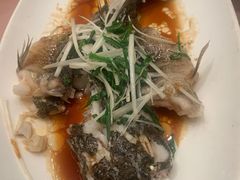 -锦江都城闵行饭店