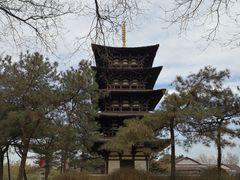 -北京世界公园
