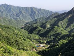 -大岭沟猕猴桃谷风景区