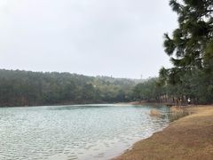 -南京市无想山景区