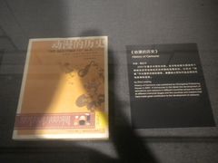 -上海动漫博物馆