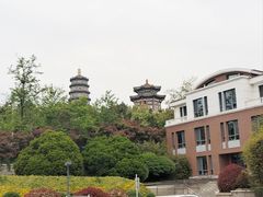 -湛山花园酒店-自助餐厅