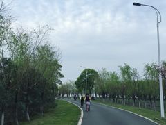 -艾溪湖湿地公园