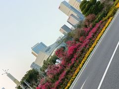 -椰风寨