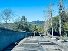 -青城山