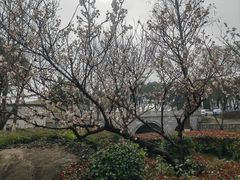 -苏州香山国际大酒店