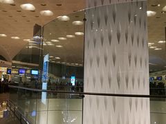 -贾特拉帕蒂·希瓦吉国际机场