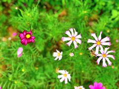 -漩门湾国家湿地公园