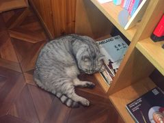 -隅cafe(傅厚岗店)