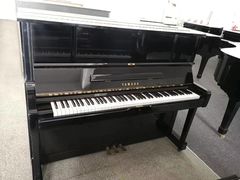 -天籁琴行(淘金店)