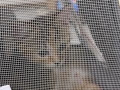 -希望动物医院(汉阳院)