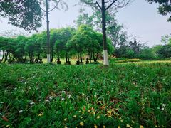-府河摄影公园