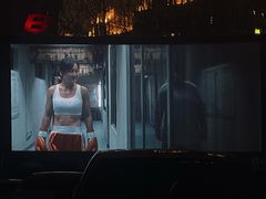 -枫花园汽车电影院(朝阳公园店)