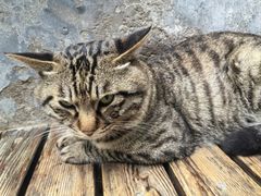 -正阳书局(西四南大街店)