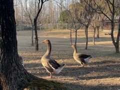 -华夏公园-停车场
